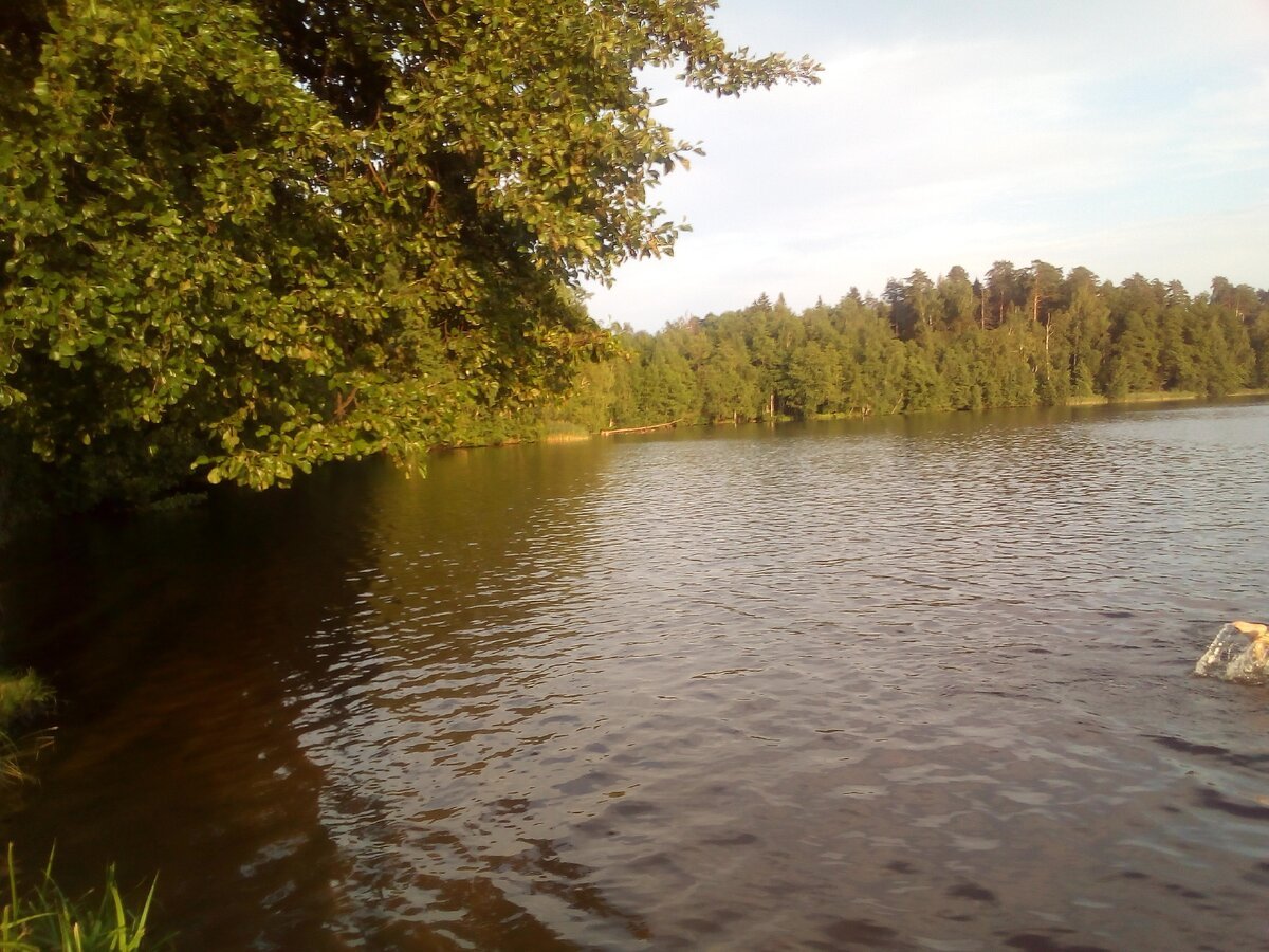 фото озеро кичиер