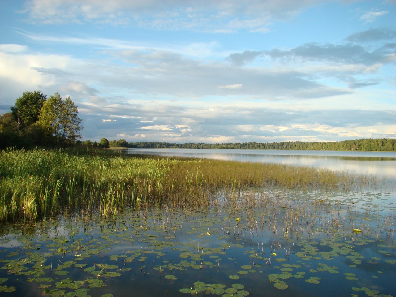 Озеро Верестово Тверская область