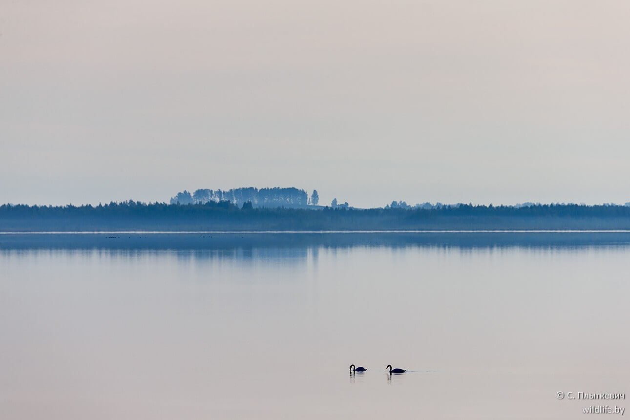 Белоруссия Освейское озеро