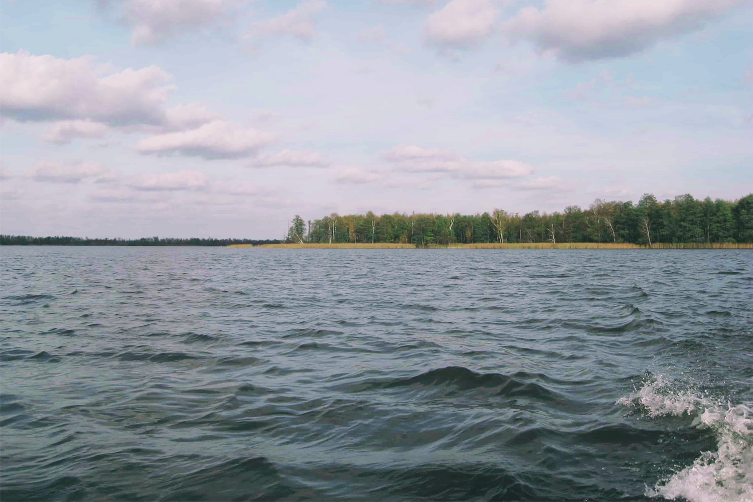 Озеро Выгонощанское Беларусь