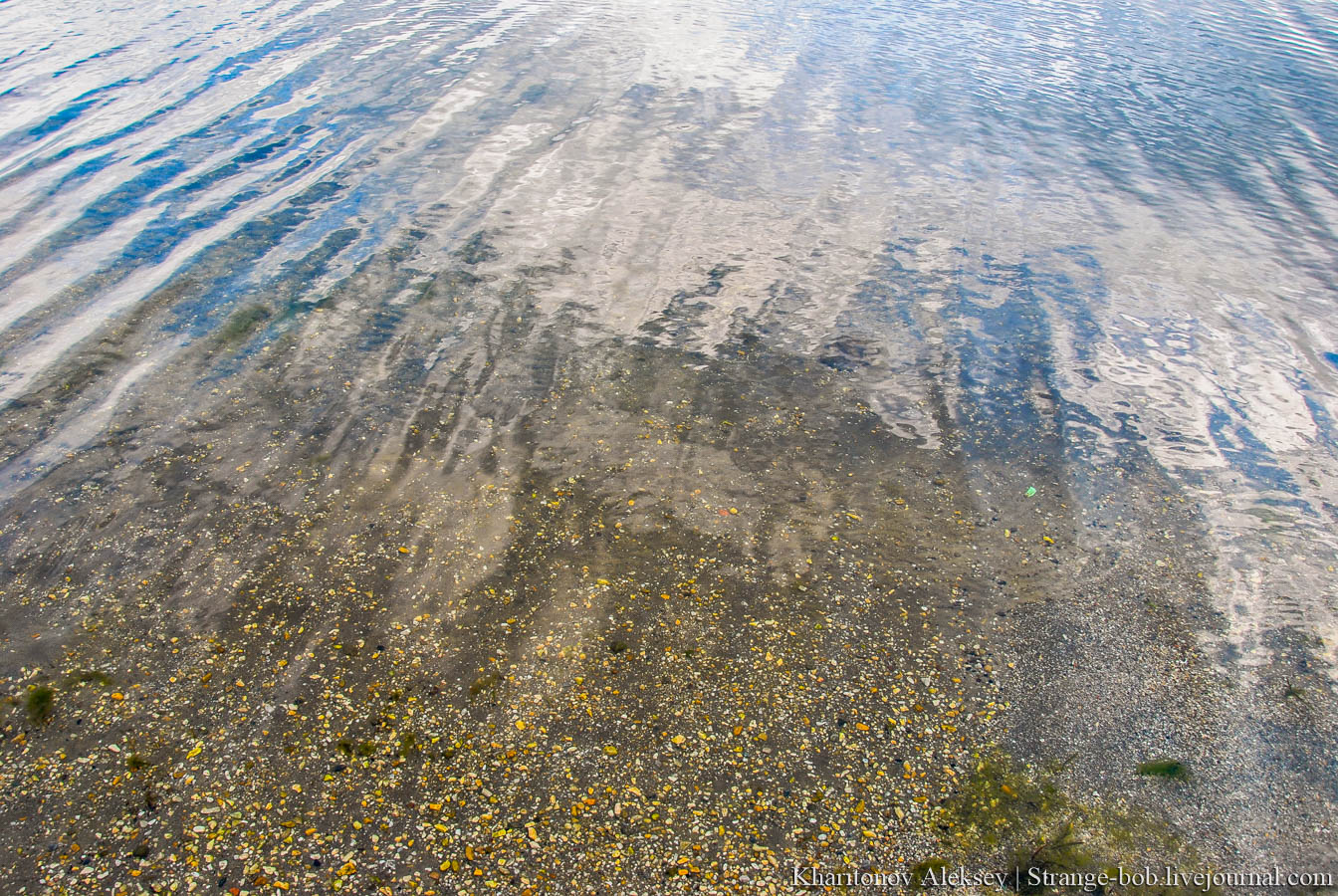 Озеро Сугояк белые худые черви в воде