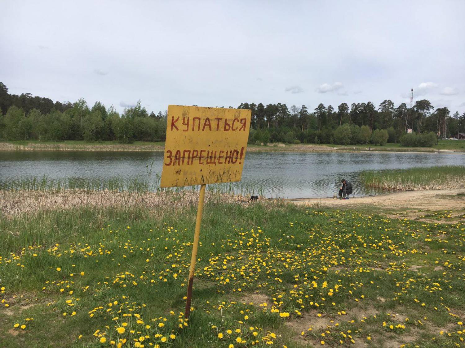 Озеро сухое Лебяжье Казань