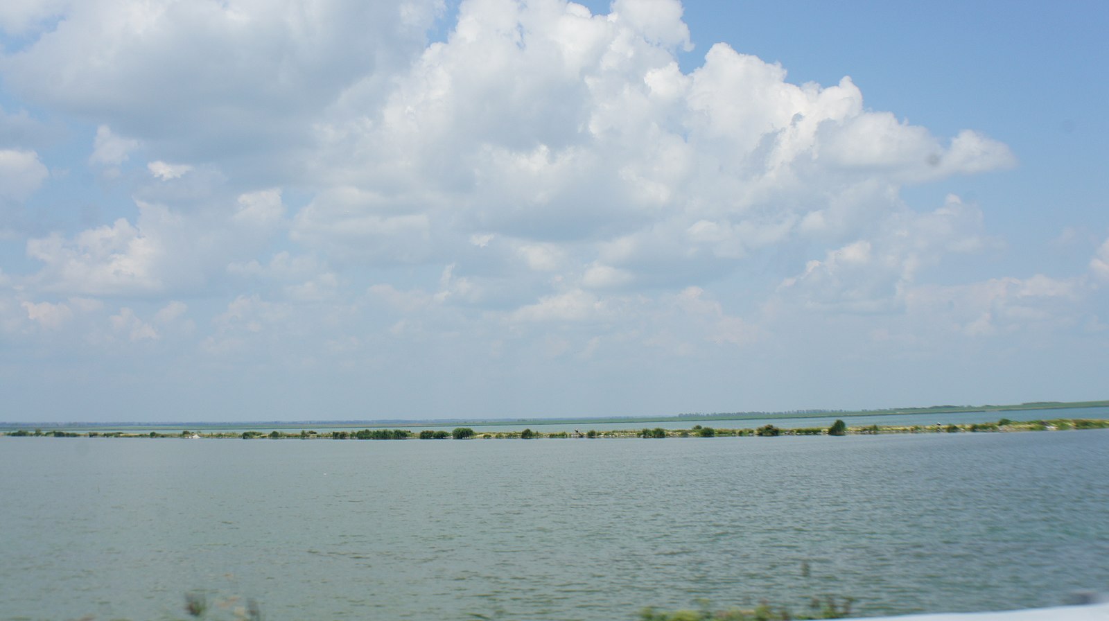 Рубцовское озеро