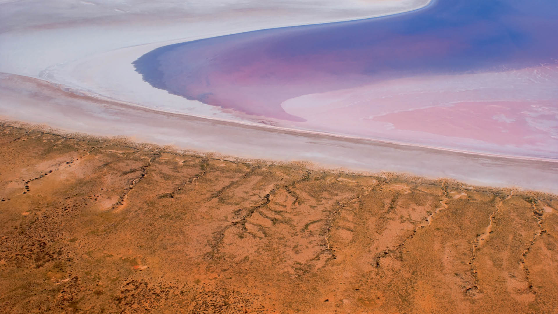 Озеро Эйр-Норт в Австралии