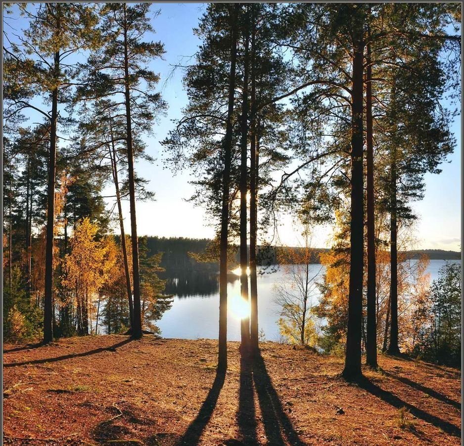 Озеро красавица Зеленогорск