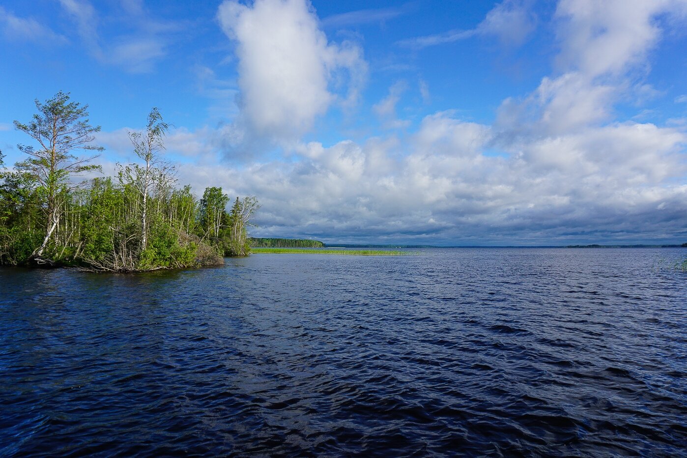 Озеро Ковжское Вологодская область рыбалка