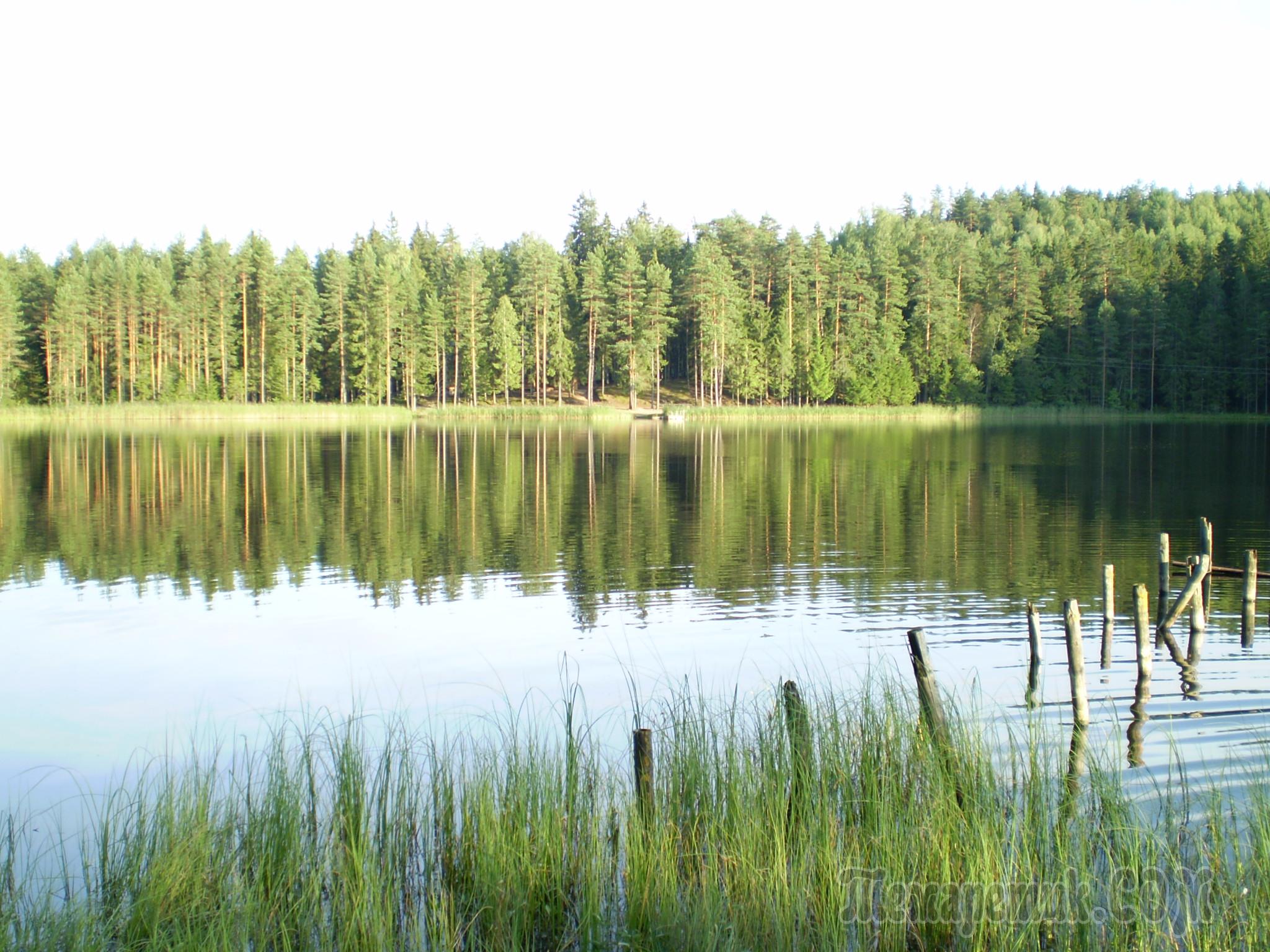 Озеро Половинное Петрозаводск