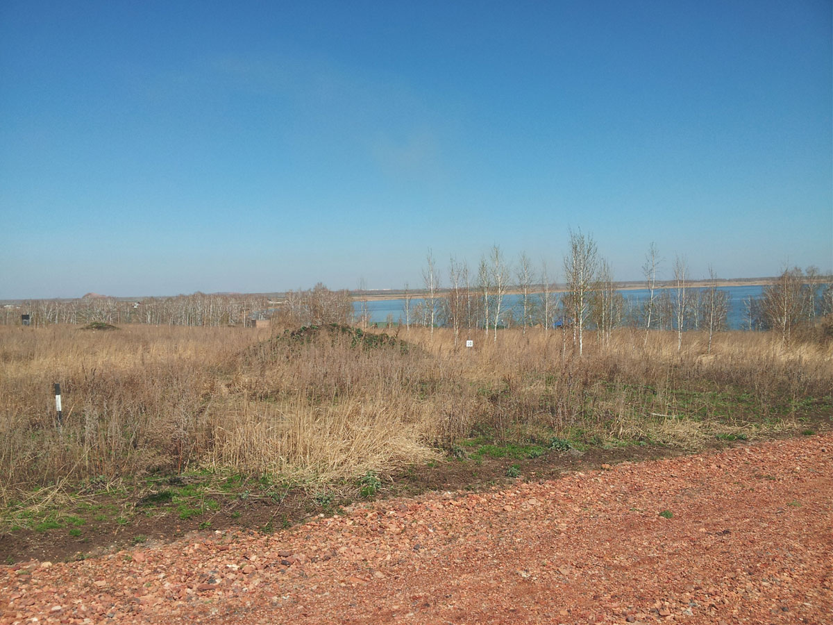 Озеро Половинное Челябинская