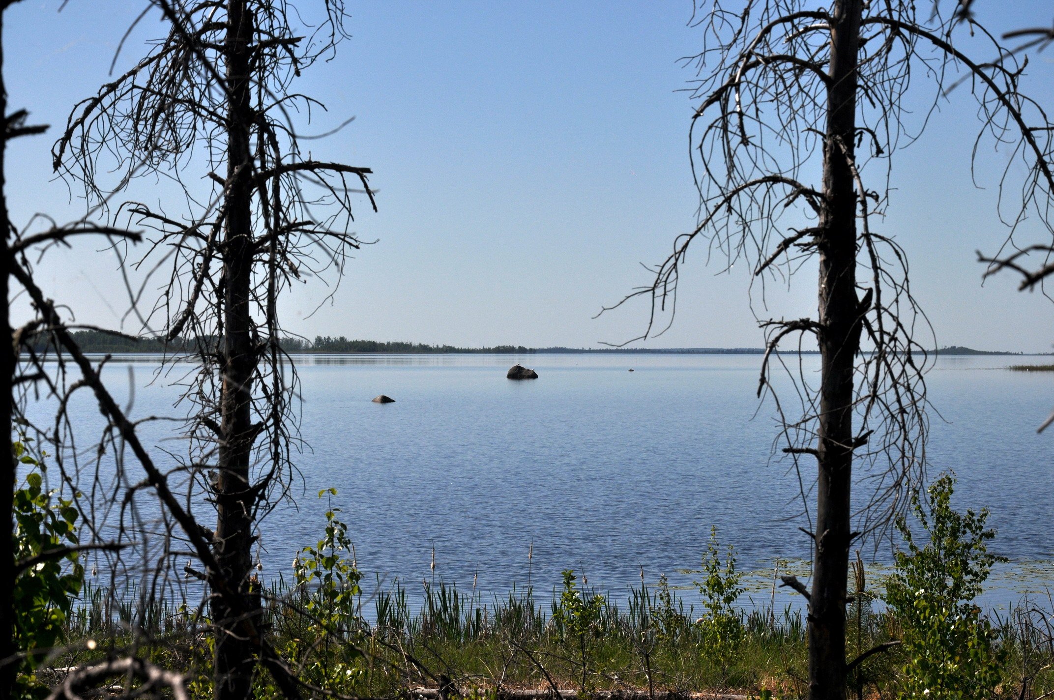 Озеро Велье Ленинградская область