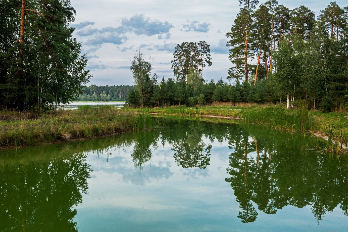 Лебяжье озеро Казань
