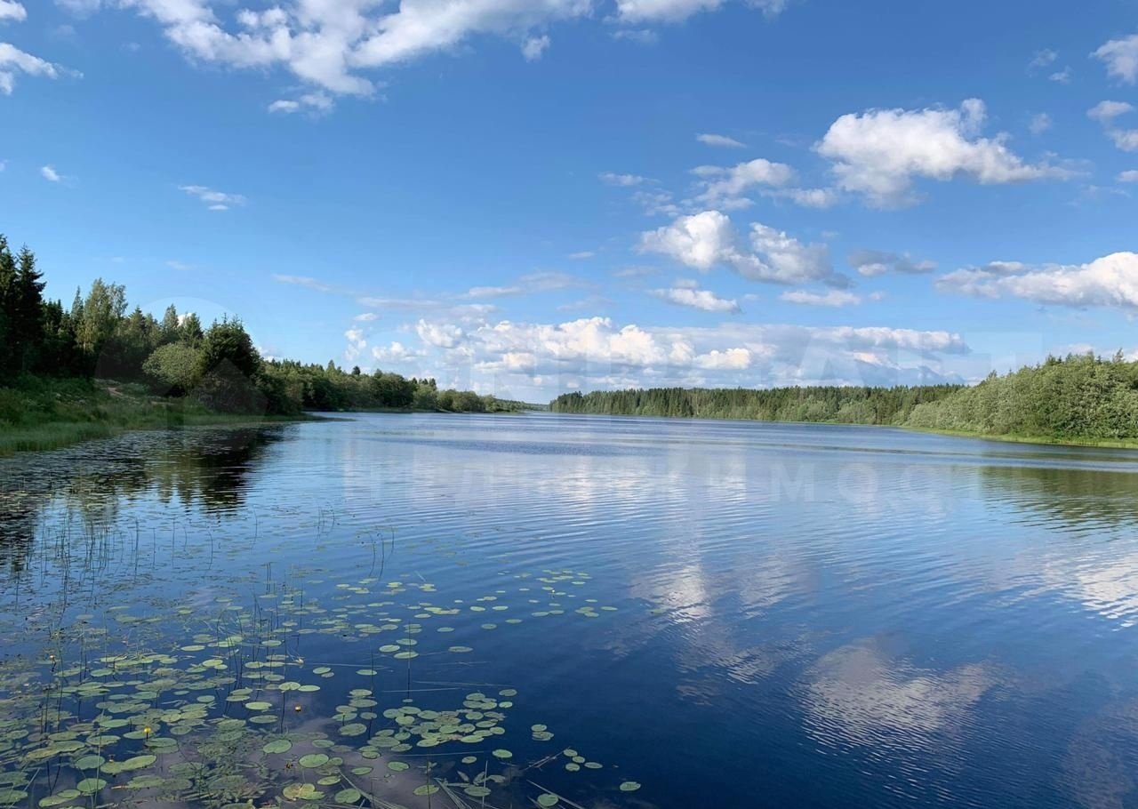 Озеро Торбино Новгородская область