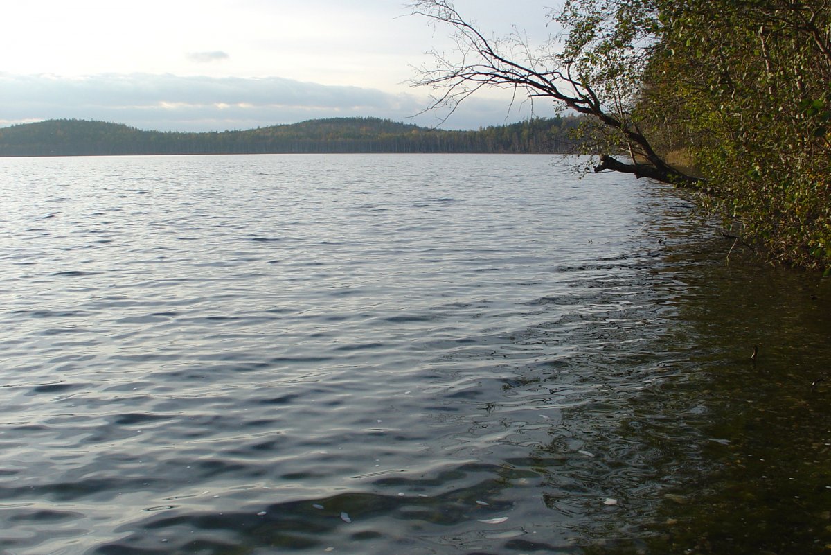 Озеро светлое Свердловская область