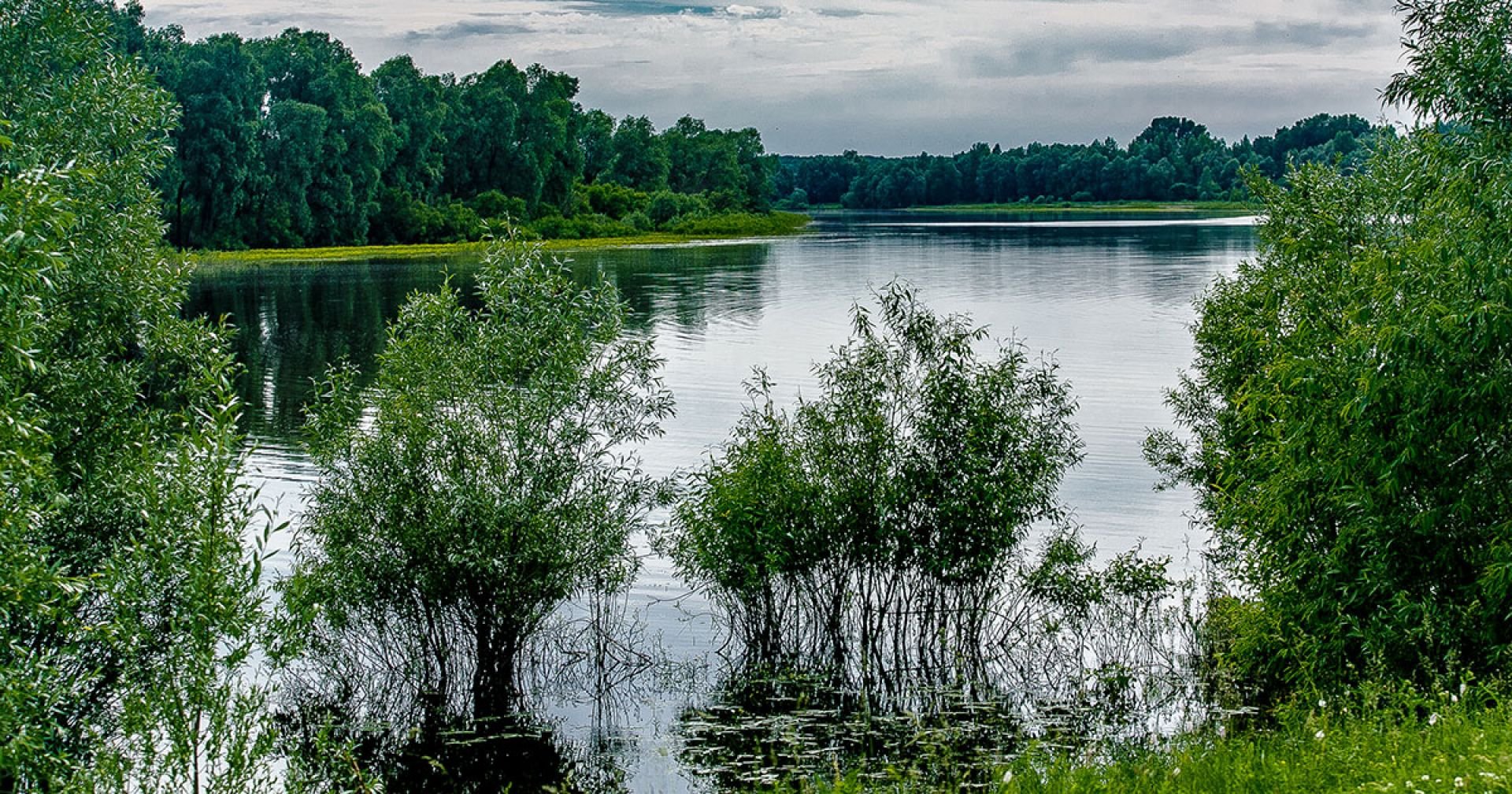 Озёра Новосибирской области озера Новосибирской области