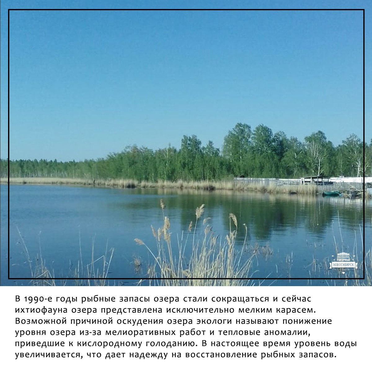 Озёра Новосибирской области список