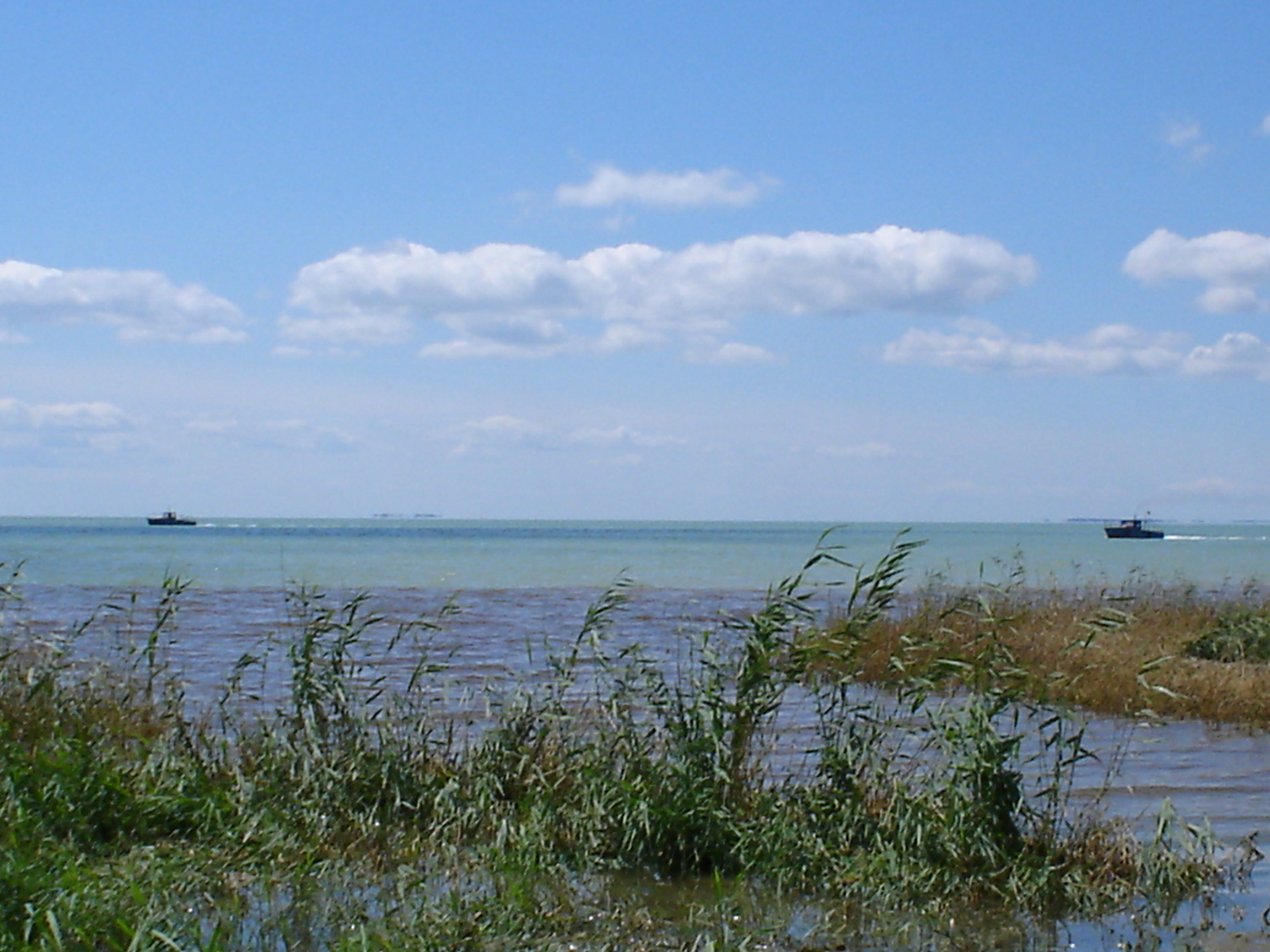 Озеро Салтан Новосибирская область