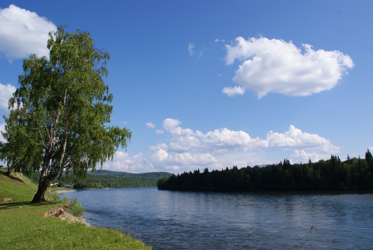 Тиберкуль поселок Курагинский район