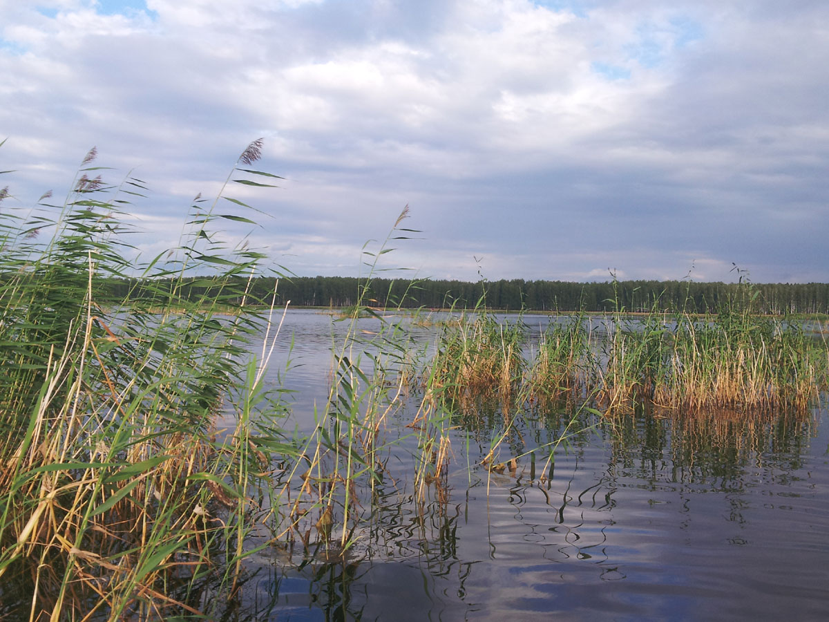 Уелги озеро в Челябинской