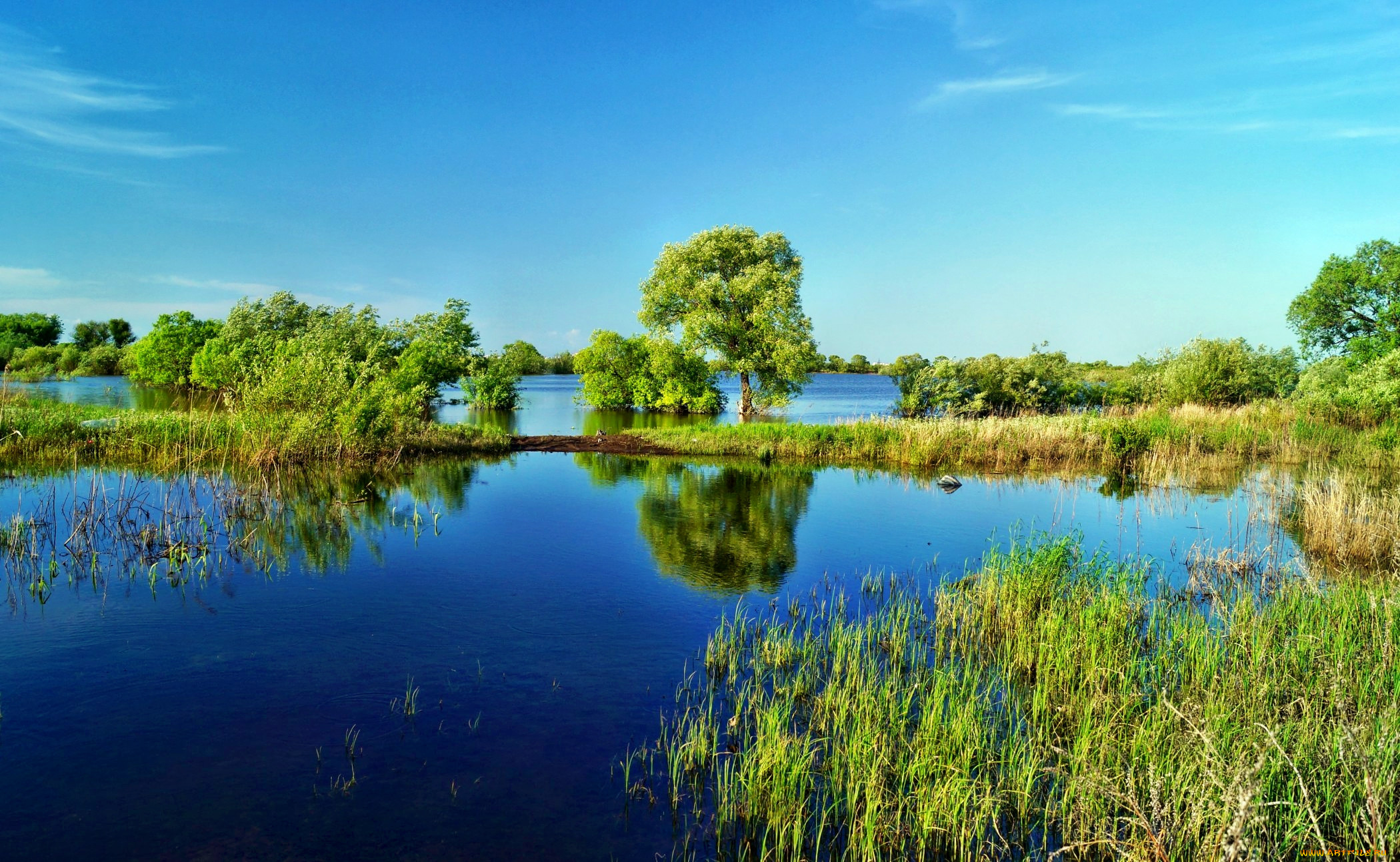 Озеро Камышовое Калининградская область