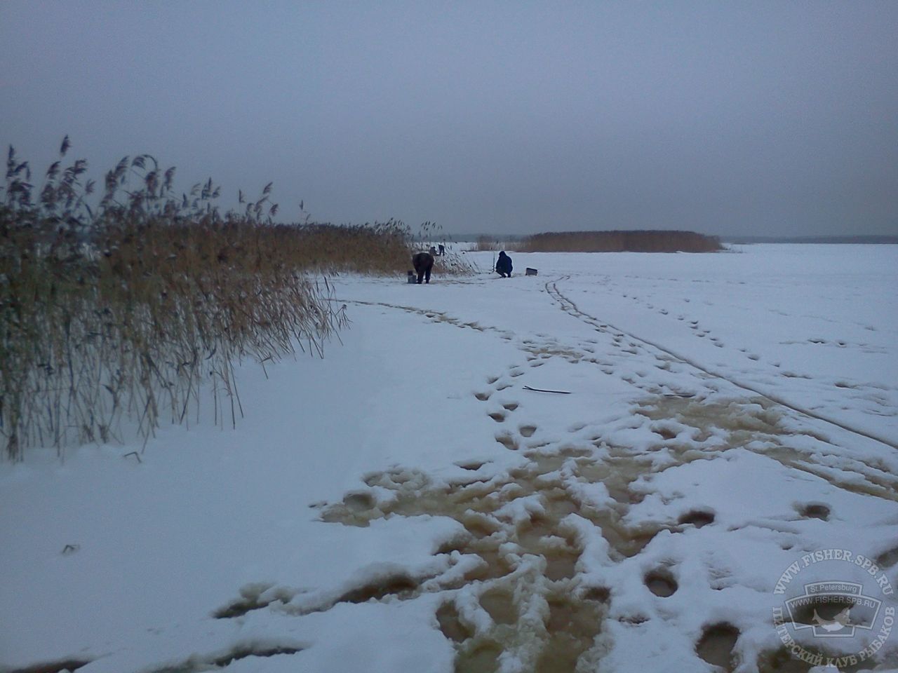 Лахтинский разлив зимняя рыбалка