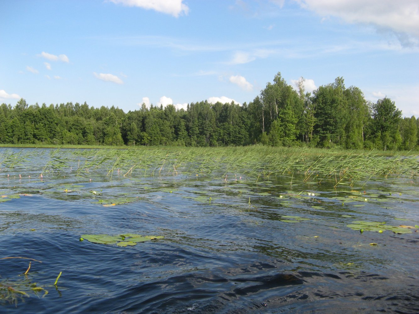 Озеро Верестово Тверская область