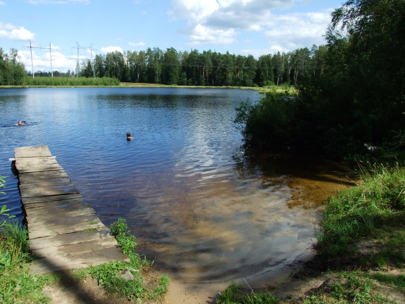 Озеро Крюковское Щелковский район