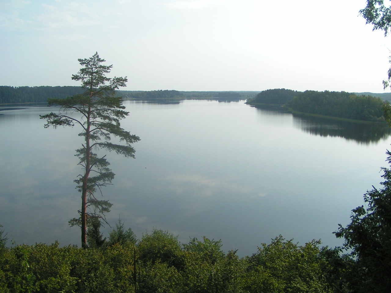 Озеро Сапшо заповедники Смоленской области