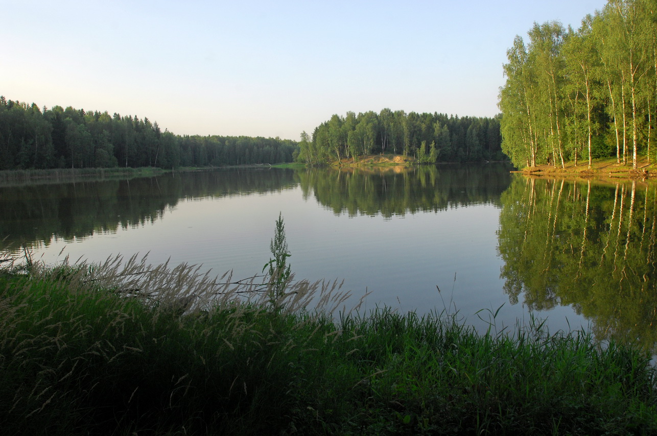 Озеро Лесное Сергиев Посад рыбалка