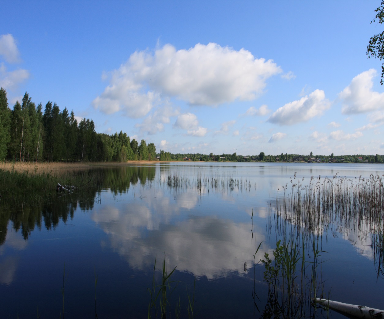 озеро белое рязанская область клепиковский район