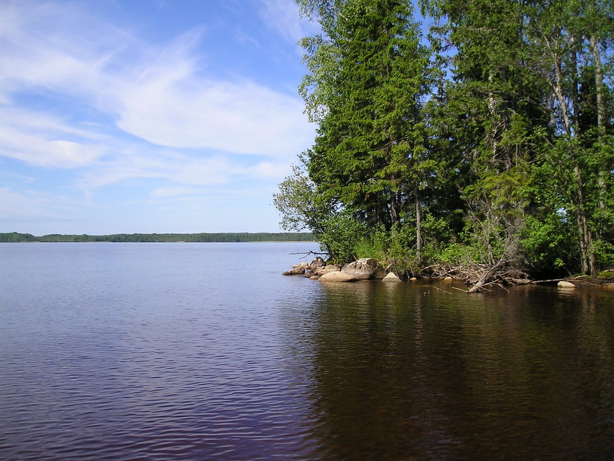Ковжское озеро Вологодская