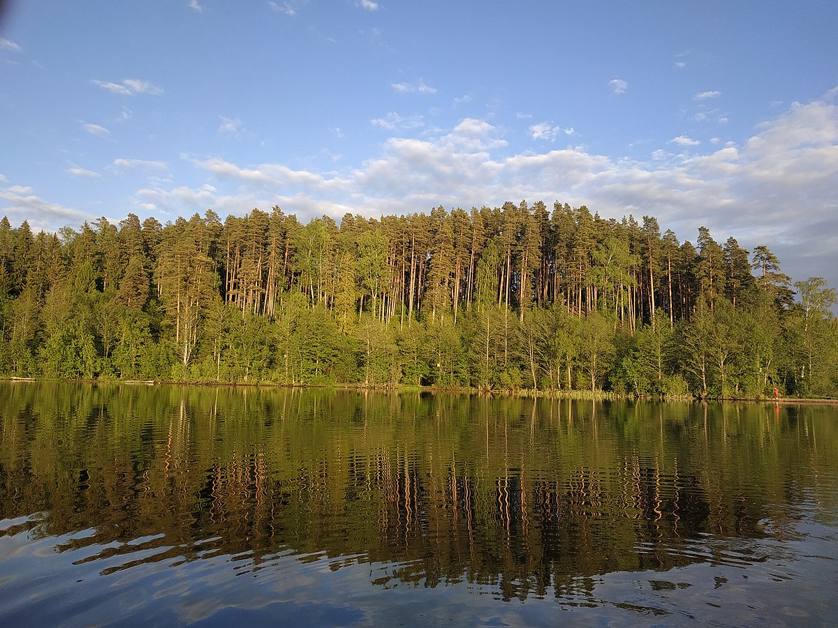 Озеро Копанское Ленинградская область