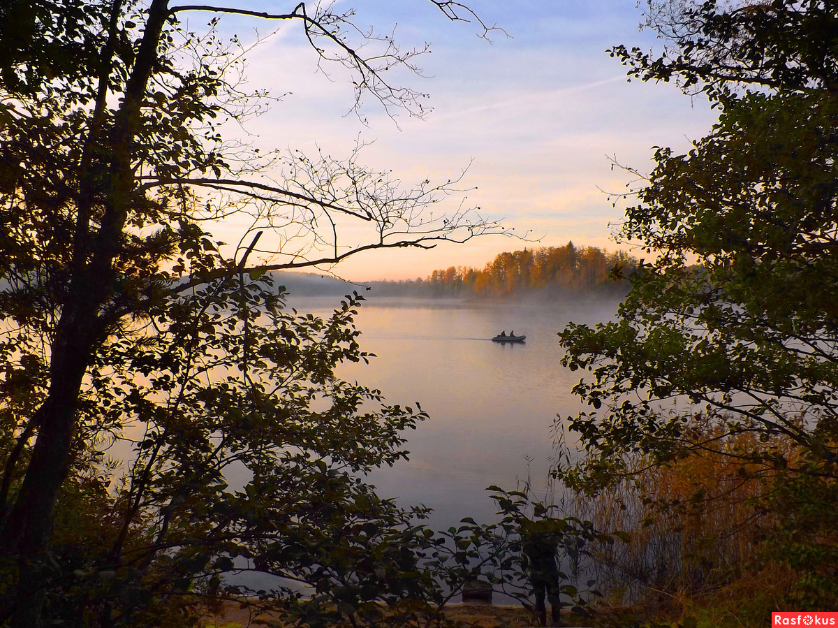 Селигер серебряное озеро фотографии