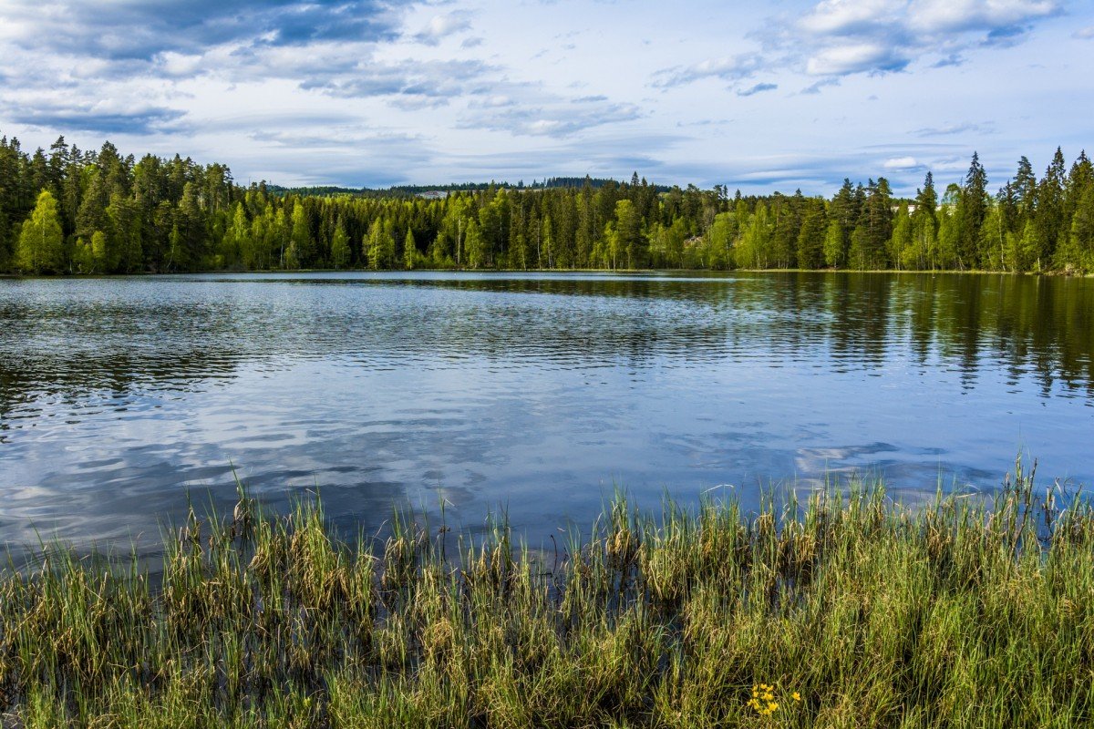 лужские озера