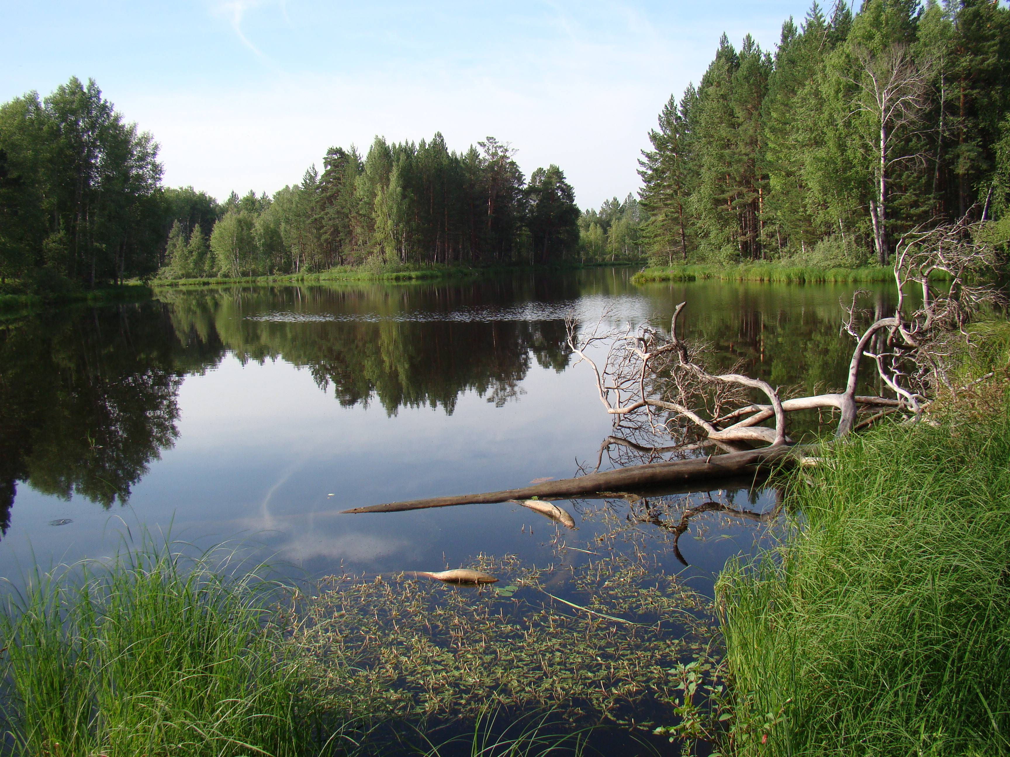 Озеро Щучье Екатеринбург
