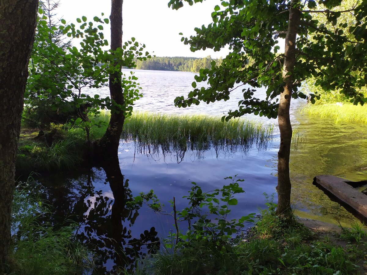 Государственный природный заказник «озеро Щучье»