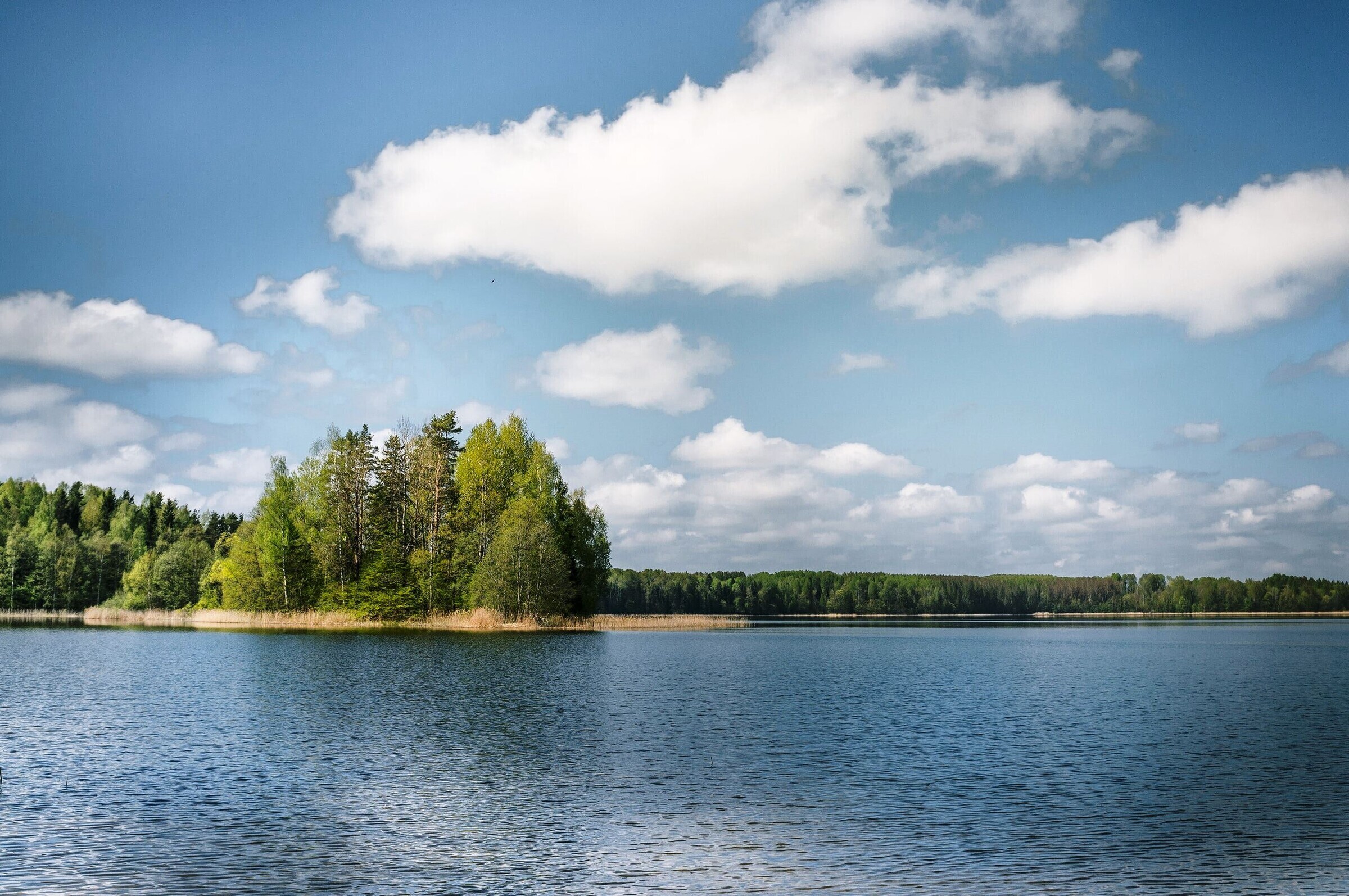 Озеро але Псковская область