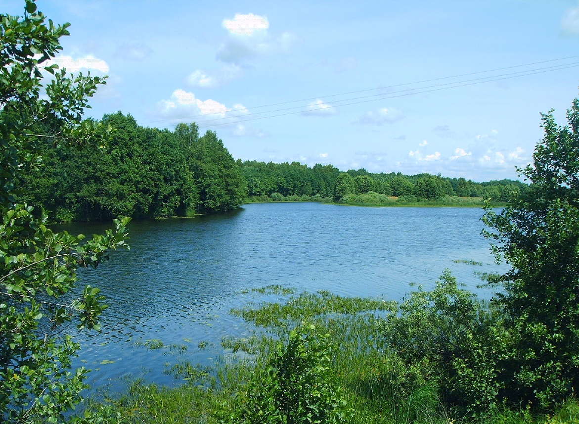 Шелубей озеро в Мордовии