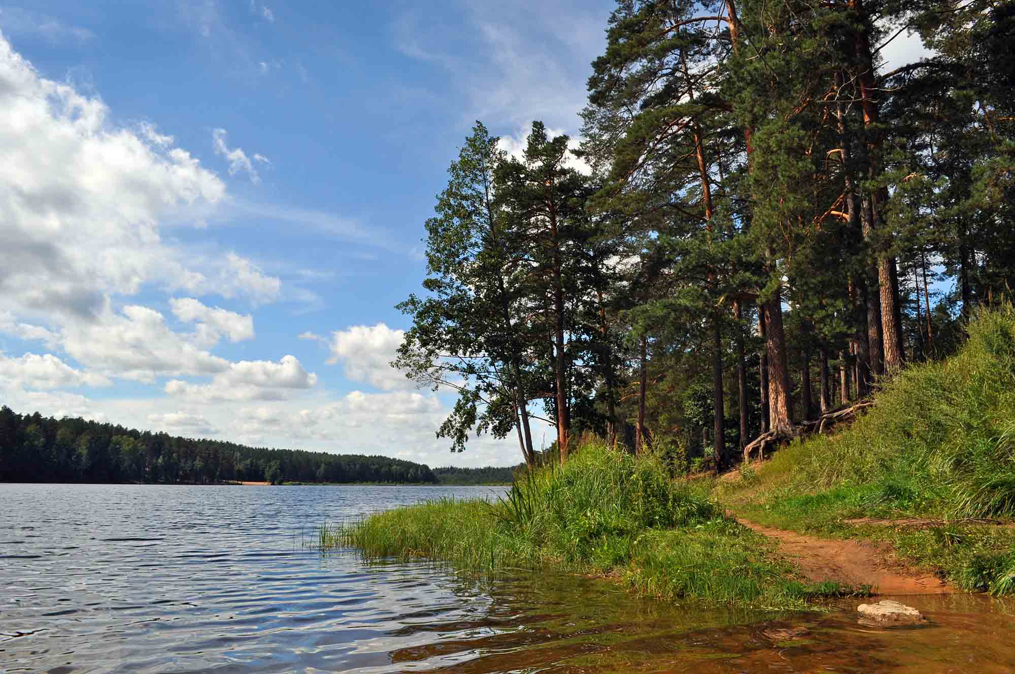 Озеро Омчино Ленинградская область