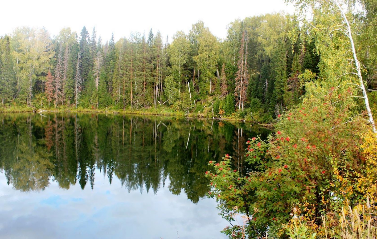 Озеро дикое Кучердаевка