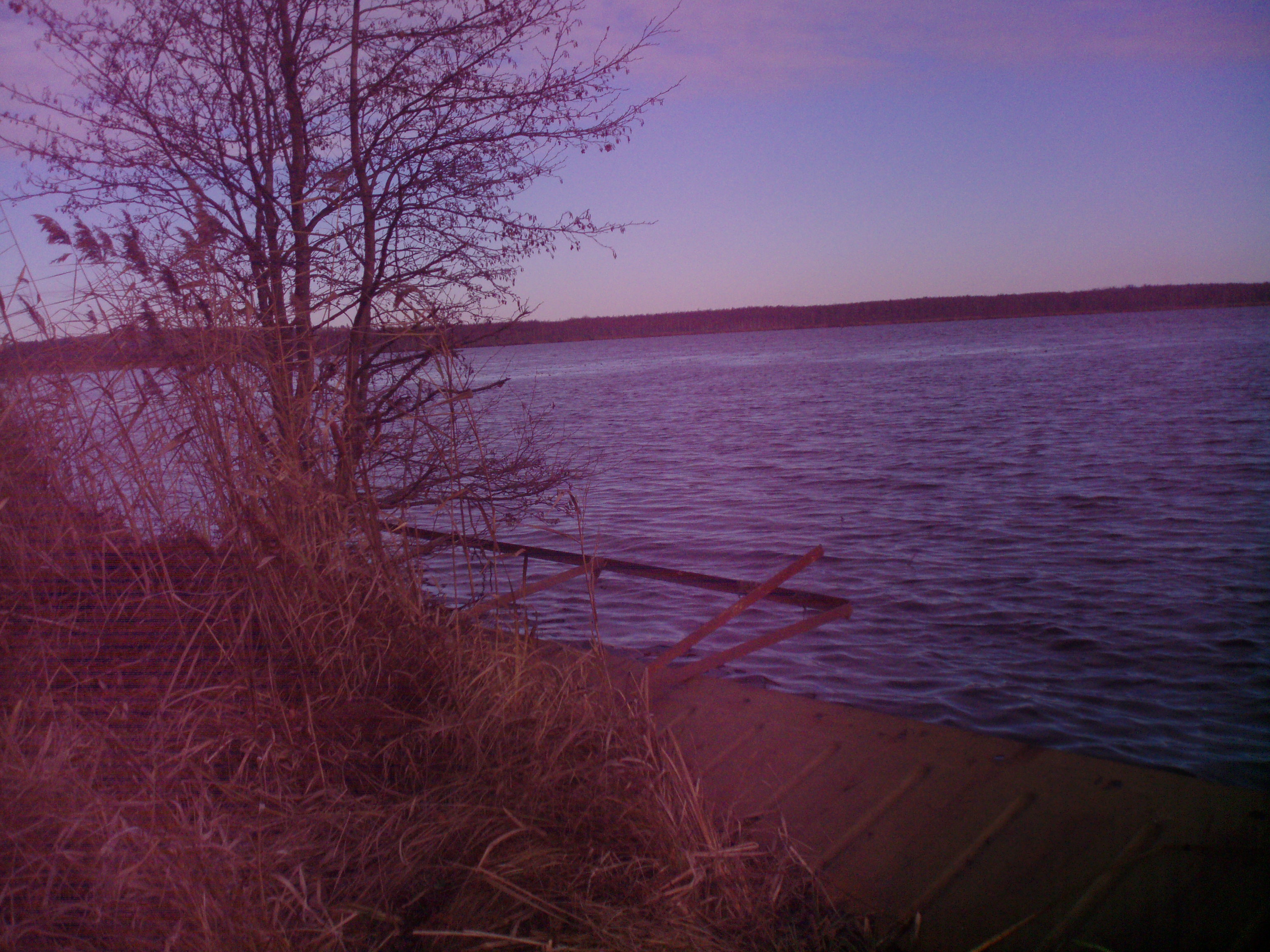 Тростенское озеро зимой