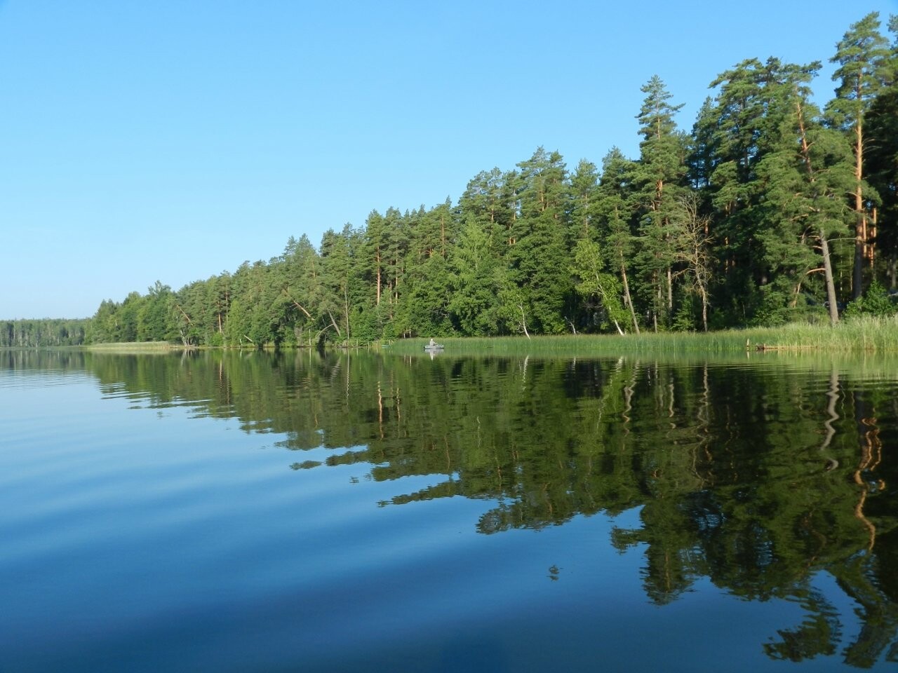 Озеро Днико Псковской области