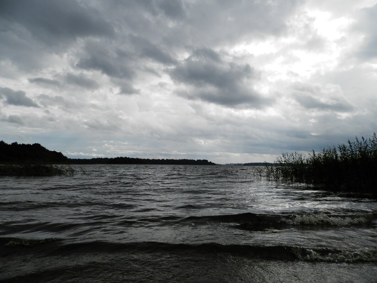 жижицкое озеро псковской области