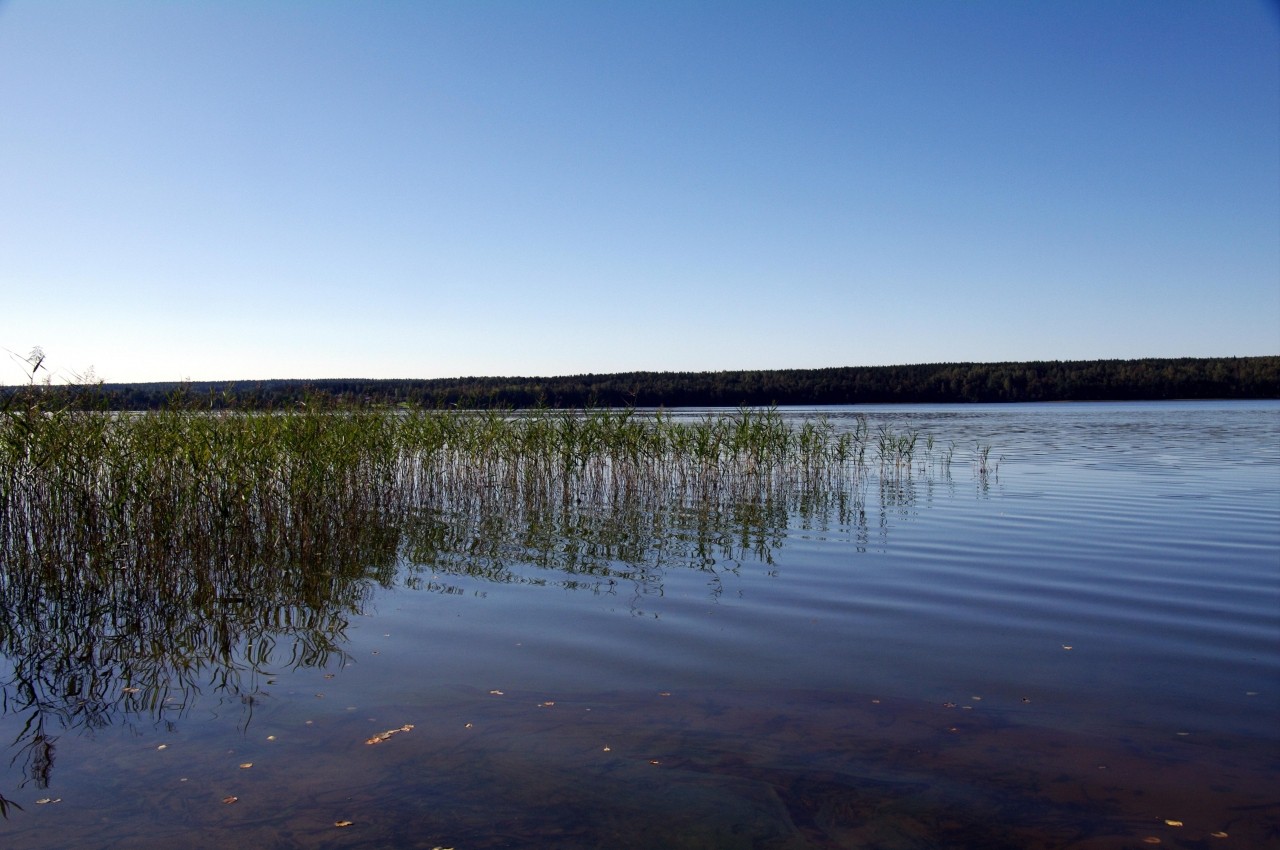 Озеро подходное Выборгский район