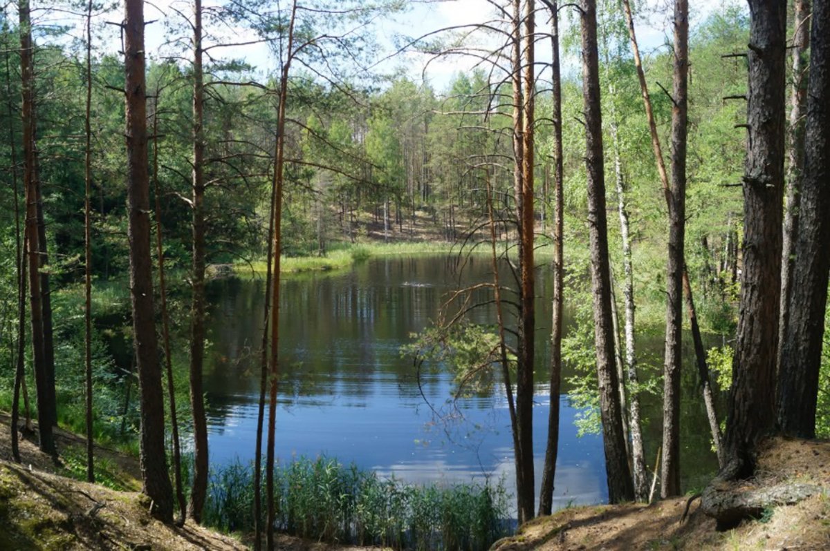 Еловое озеро Нижегородская область
