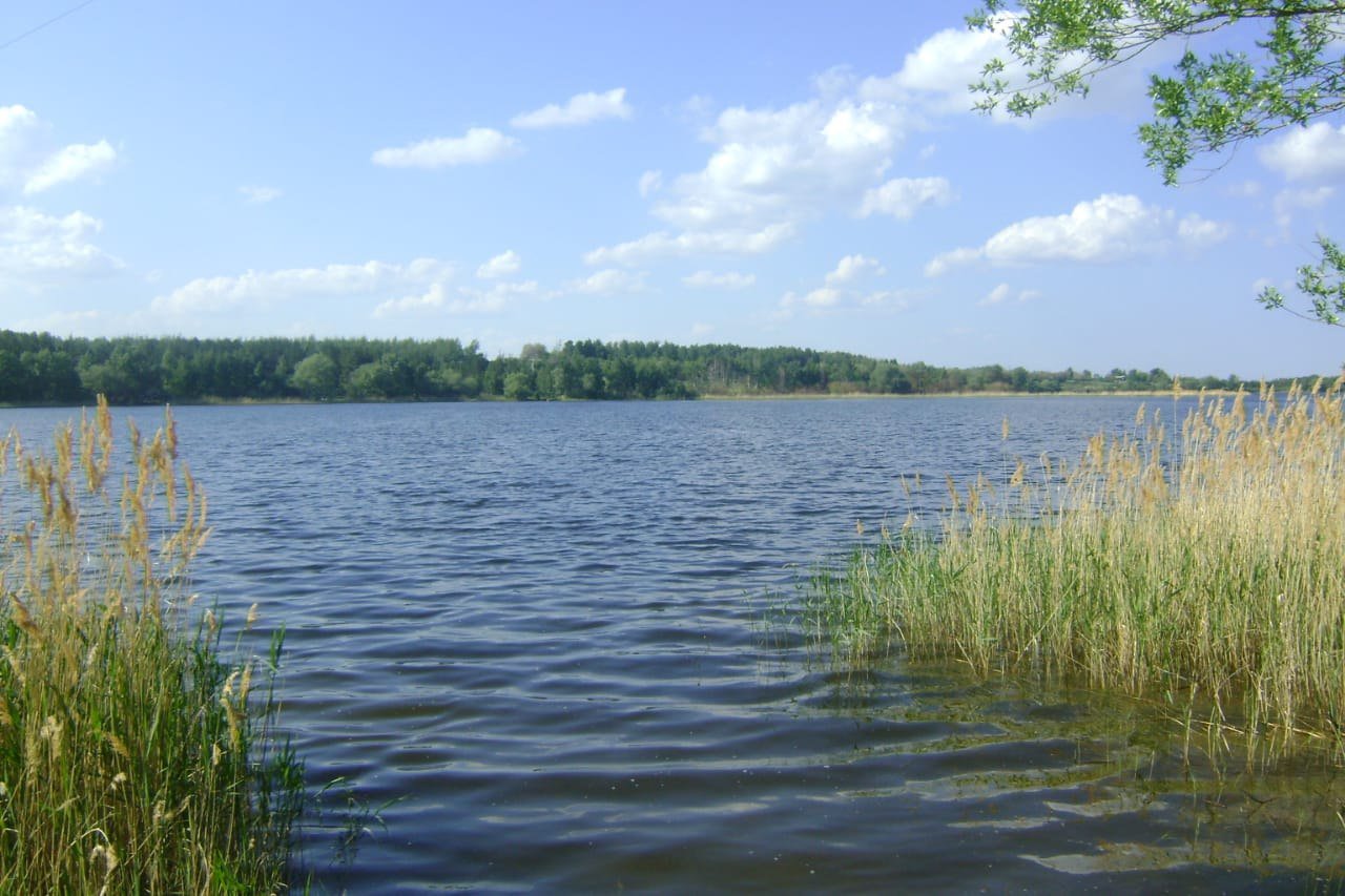 Озеро виша Муромский район