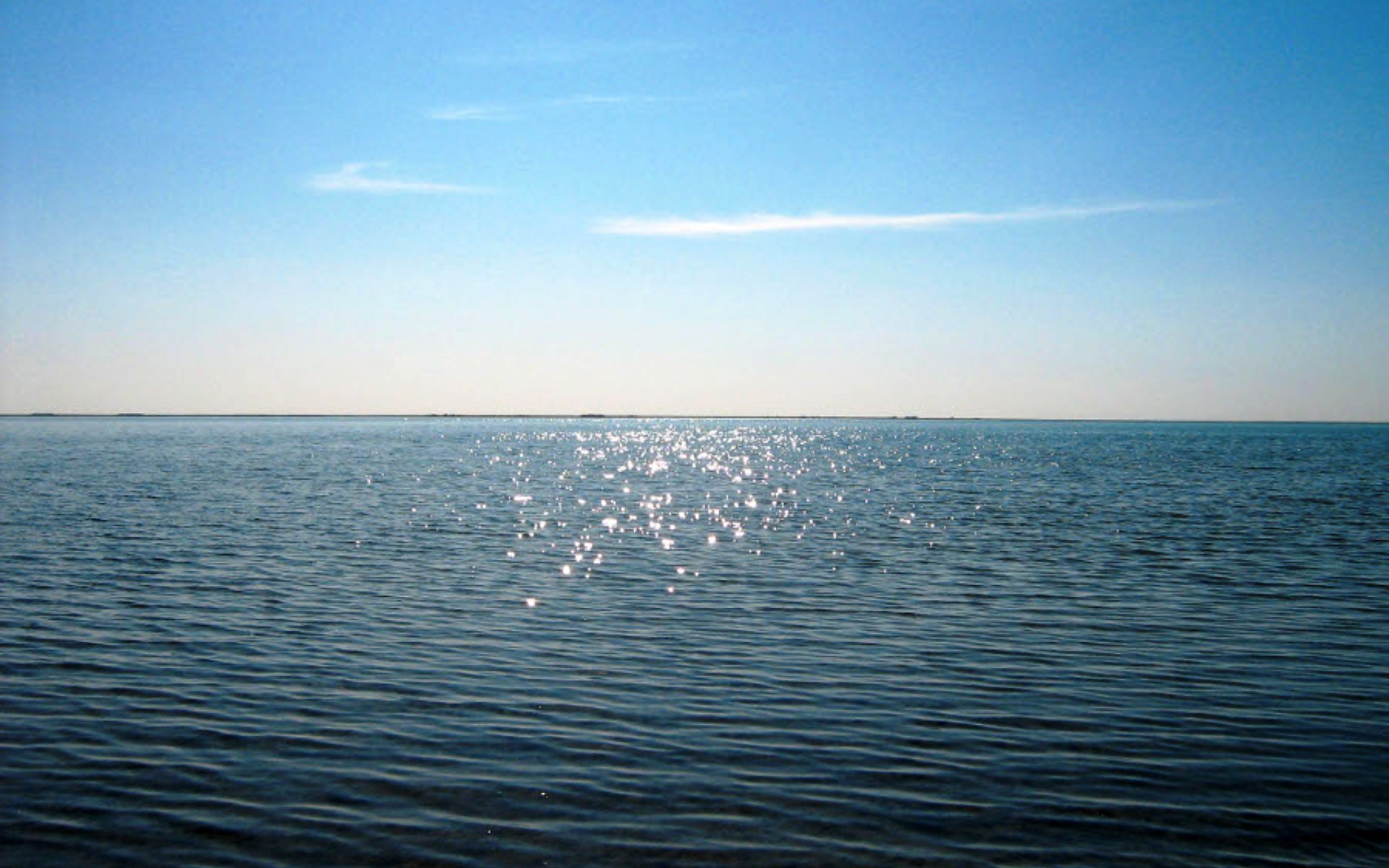 озеро сартлан новосибирская область
