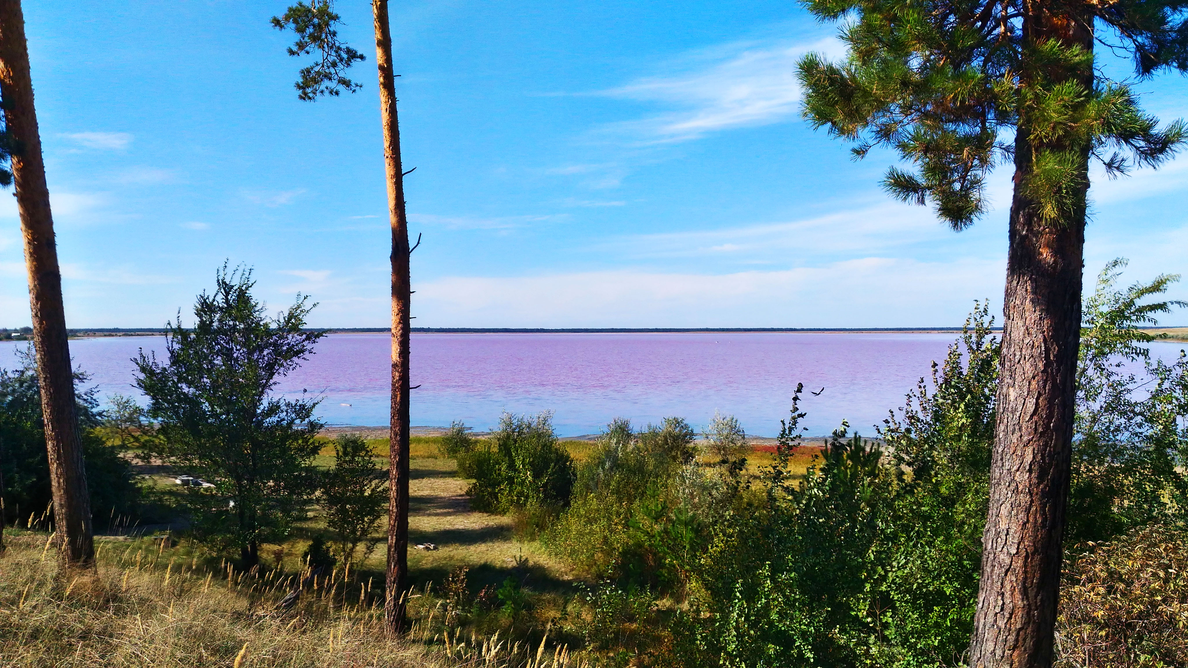 малиновое озеро алтайский