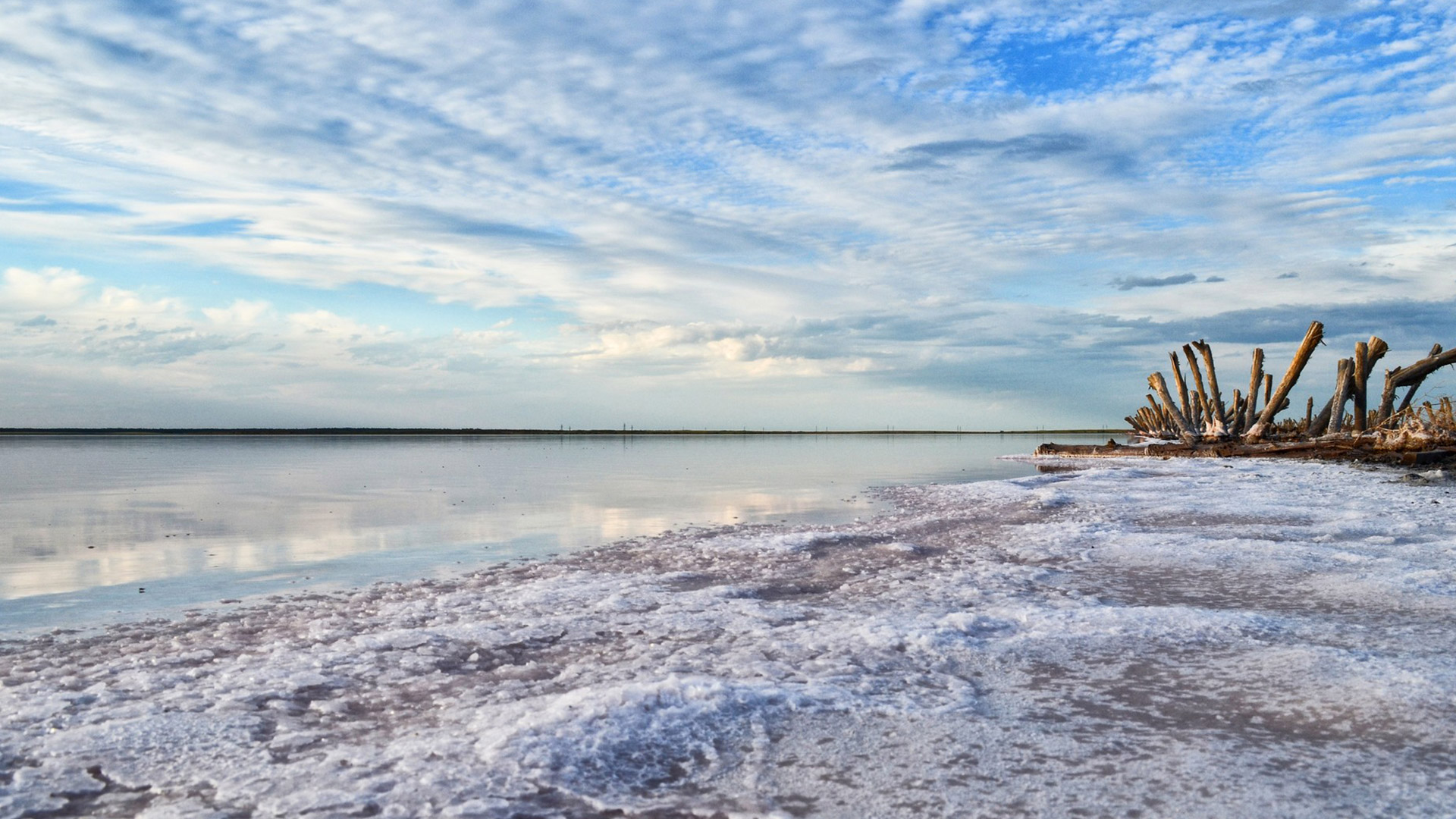малиновое озеро алтайский край база отдыха