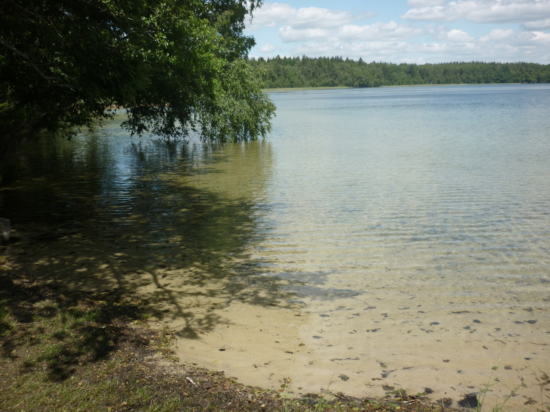 Озеро Свислочь в Белоруссии