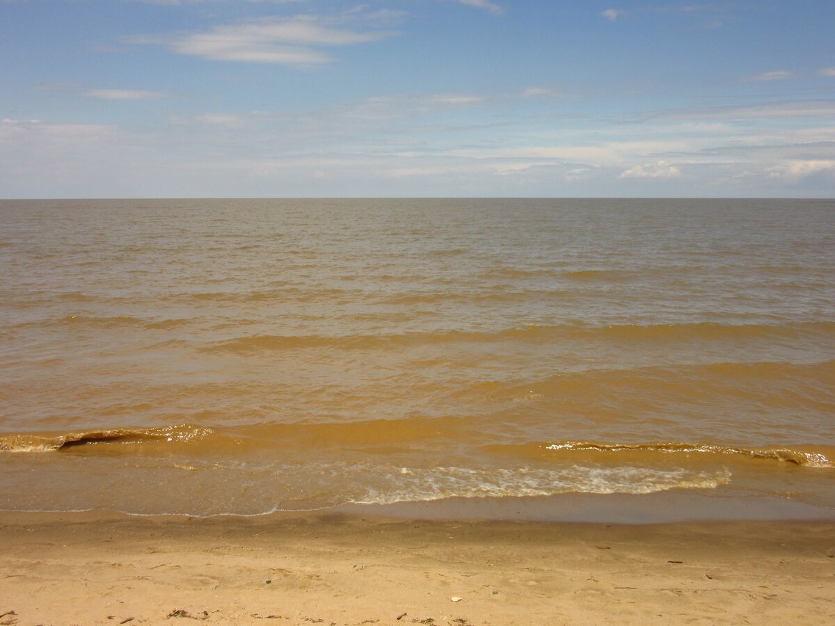 озеро ханка приморский край