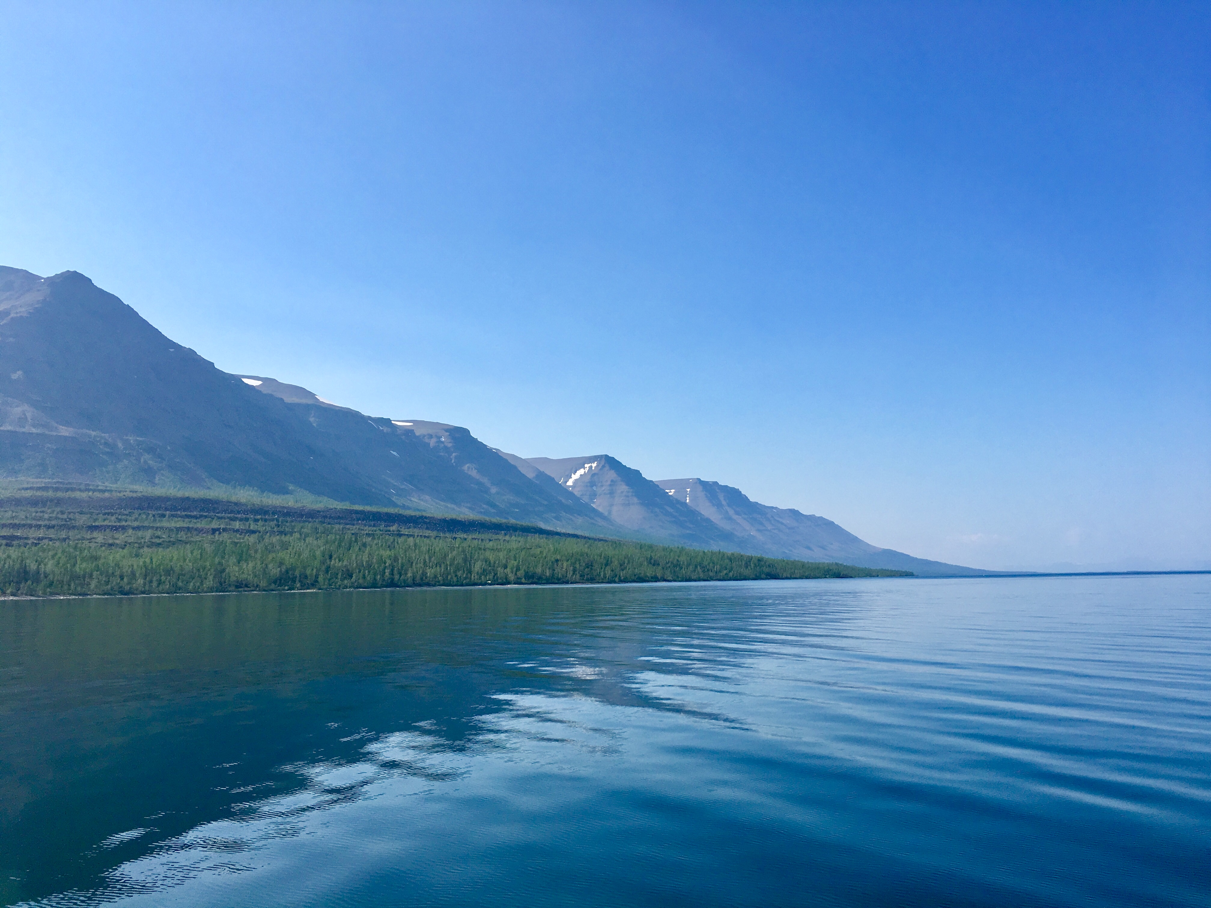 таймыр озеро лама